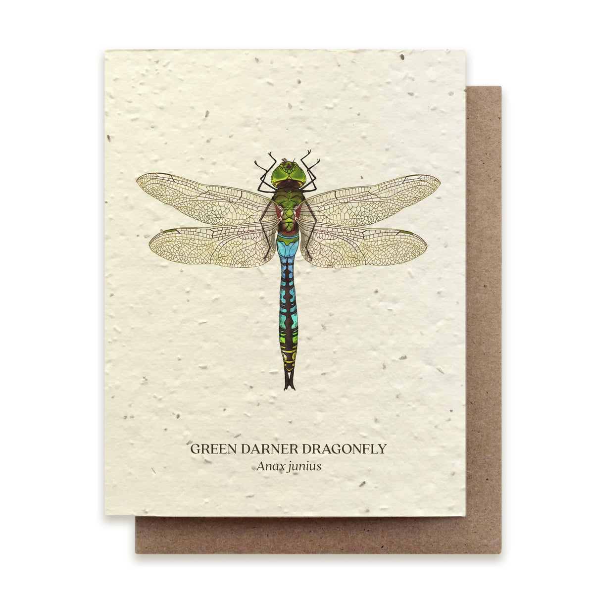 PLANTABLE SEED CARD - DRAGONFLY