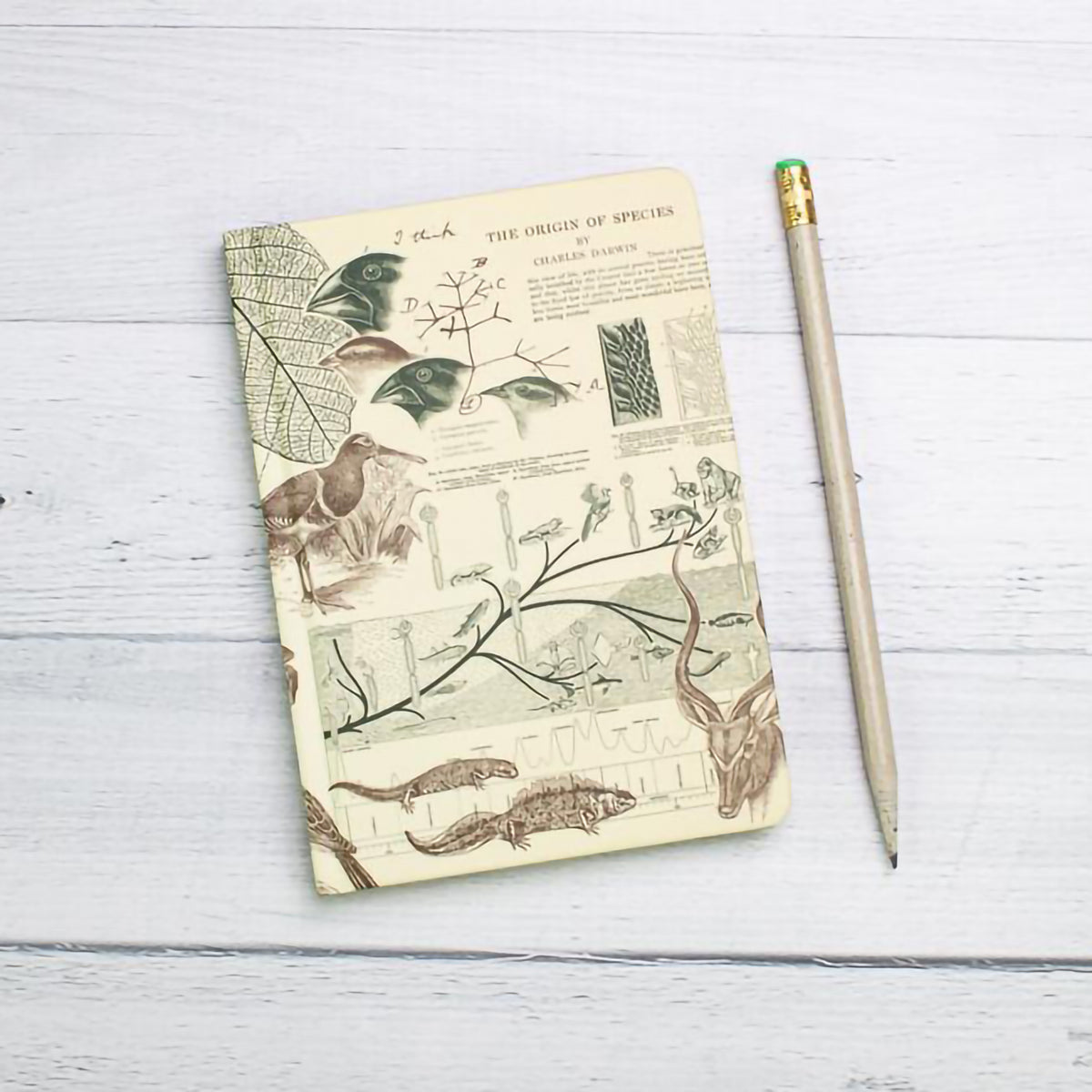 CASE STUDY MINI HARDCOVER DOT GRID EVOLUTION