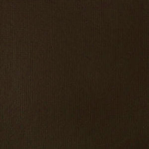 BASICS 4oz TUBE RAW UMBER