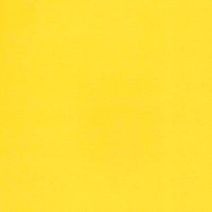 VICE VERSA 20X27.5 YELLOW