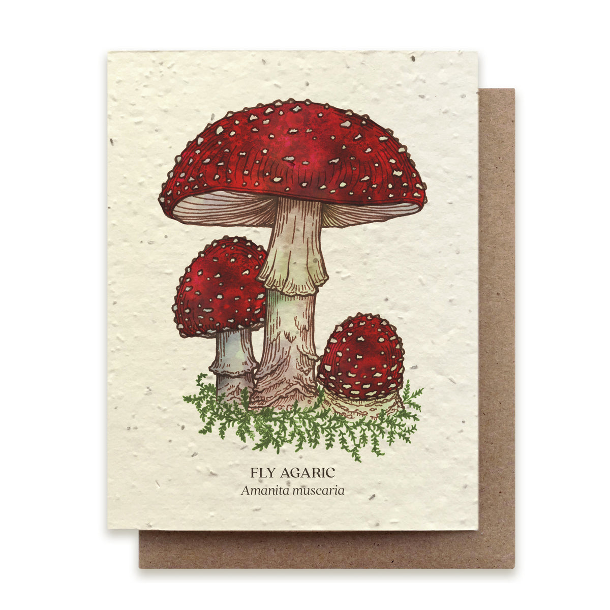 PLANTABLE SEED CARD - MUSHROOM