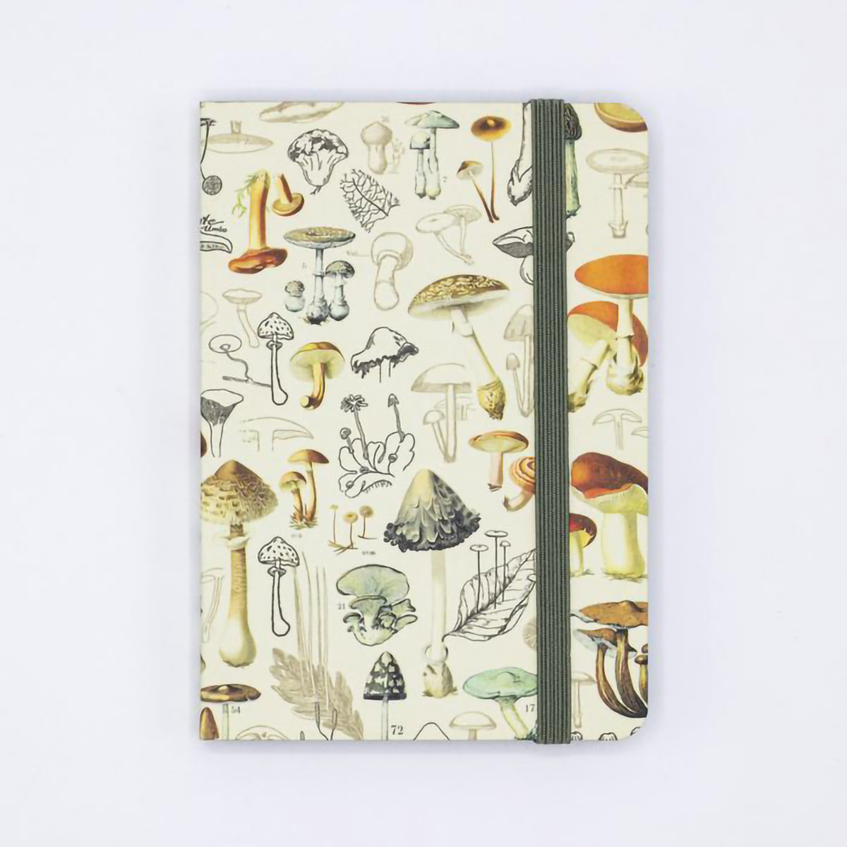 OBSERVATION JOURNAL BLANK WOODLAND MUSHROOM