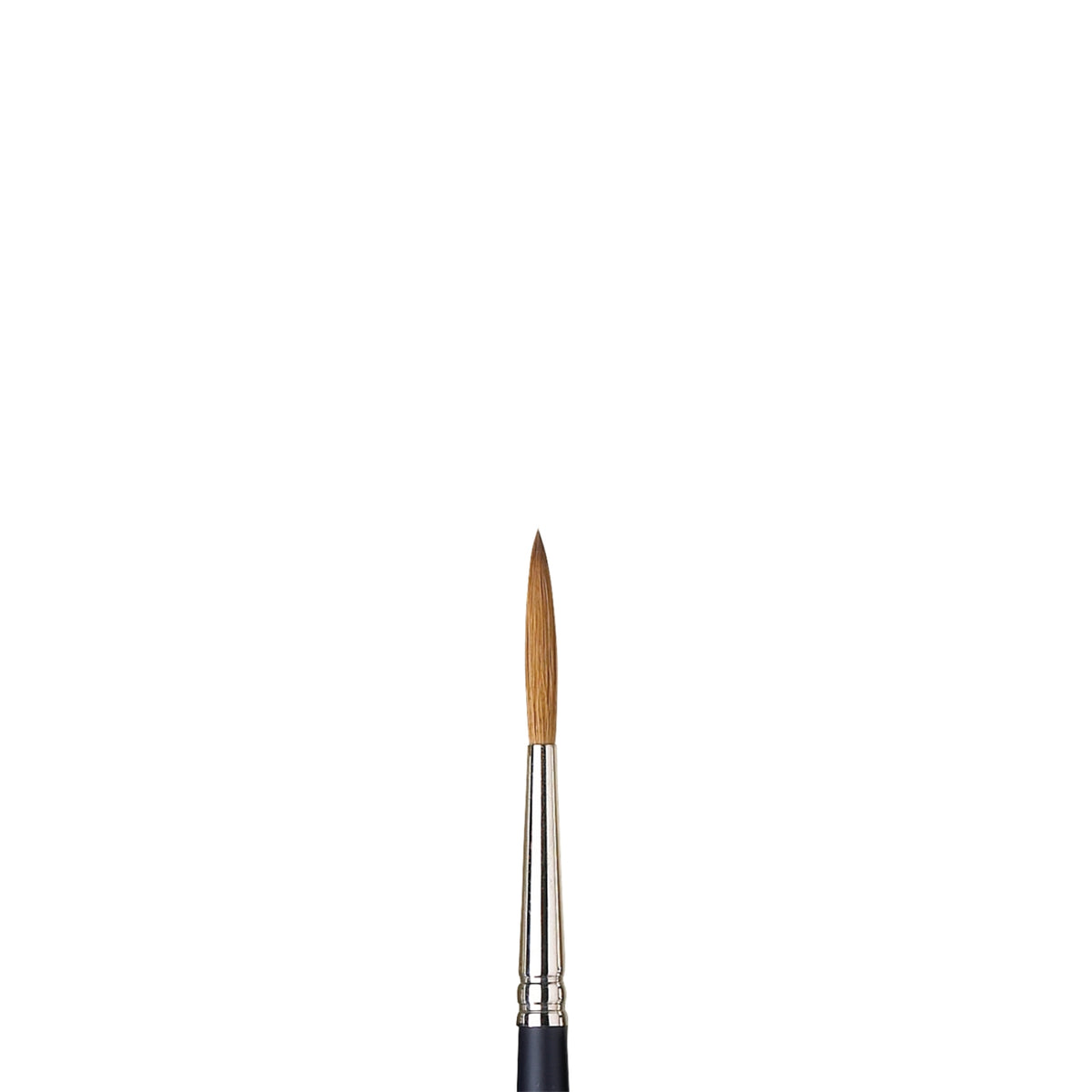 W&amp;N PROFESSIONAL WATERCOLOR SABLE BRUSH RIGGER 5