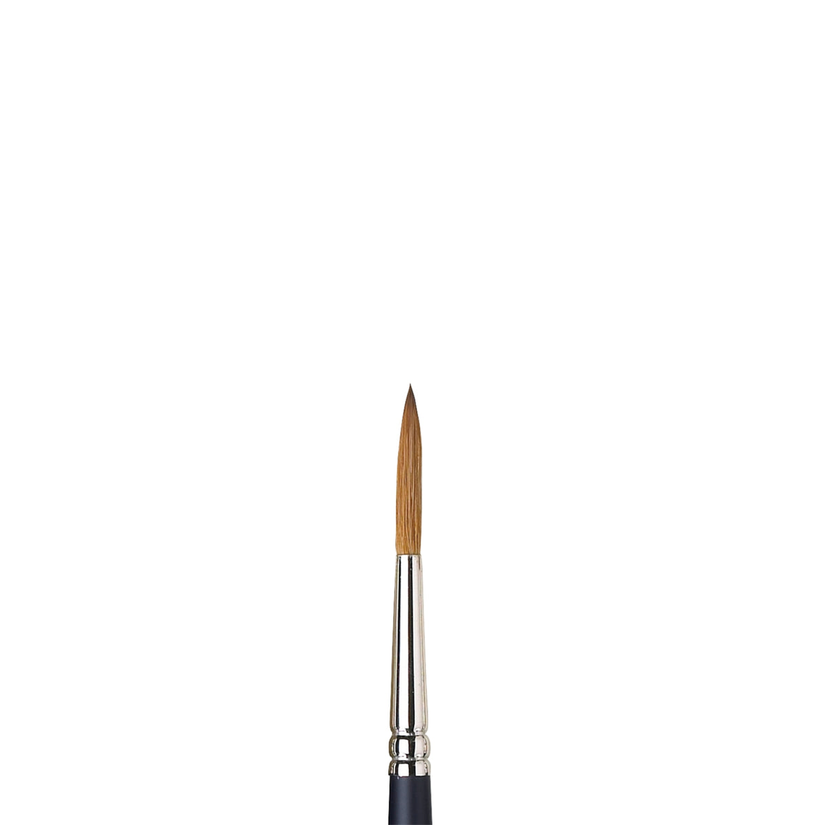 W&amp;N PROFESSIONAL WATERCOLOR SABLE BRUSH RIGGER 6