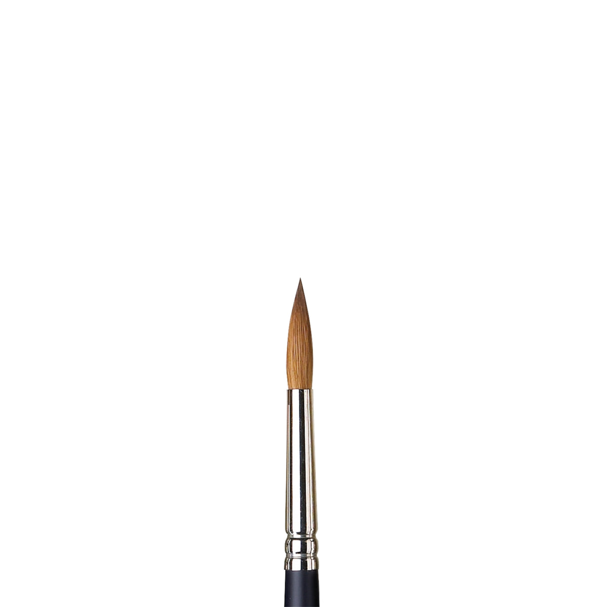 W&amp;N PROFESSIONAL WATERCOLOR SABLE BRUSH ROUND 8
