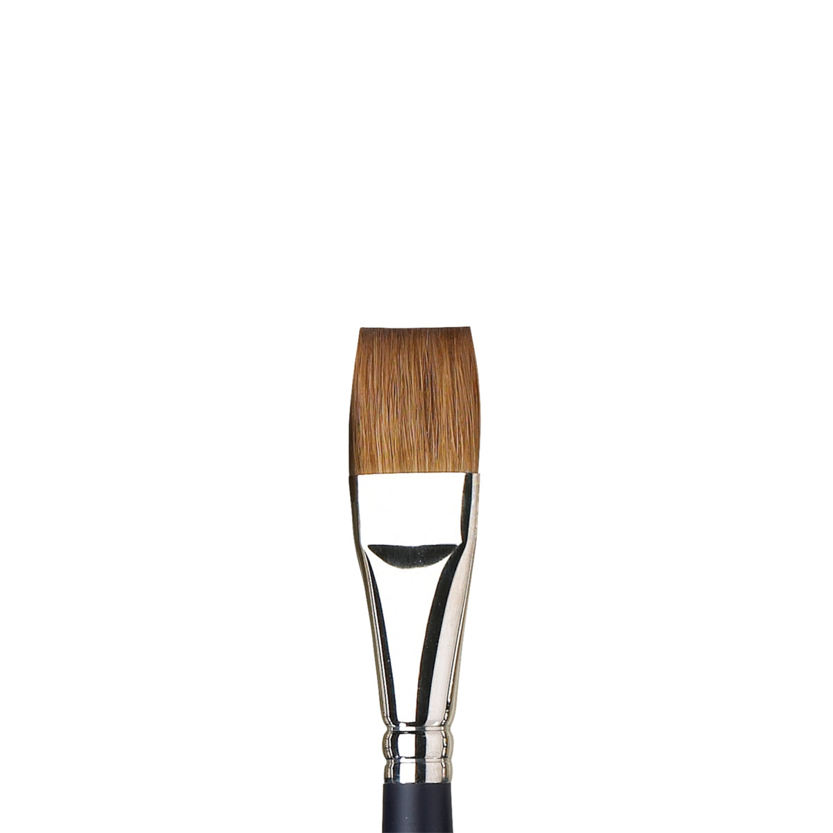 W&amp;N PROFESSIONAL WATERCOLOR SABLE BRUSH STROKE 3/4in
