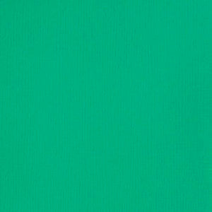 BASICS 250ml TUBE BRIGHT AQUA GREEN