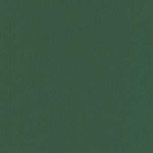 FOLIA ARTCARD 19.5X27.5 FIR GREEN