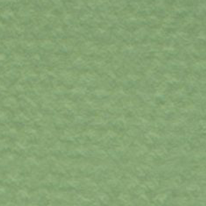 MI-TEINTES 8.5&#39;&#39;x11&#39;&#39; APPLE GREEN