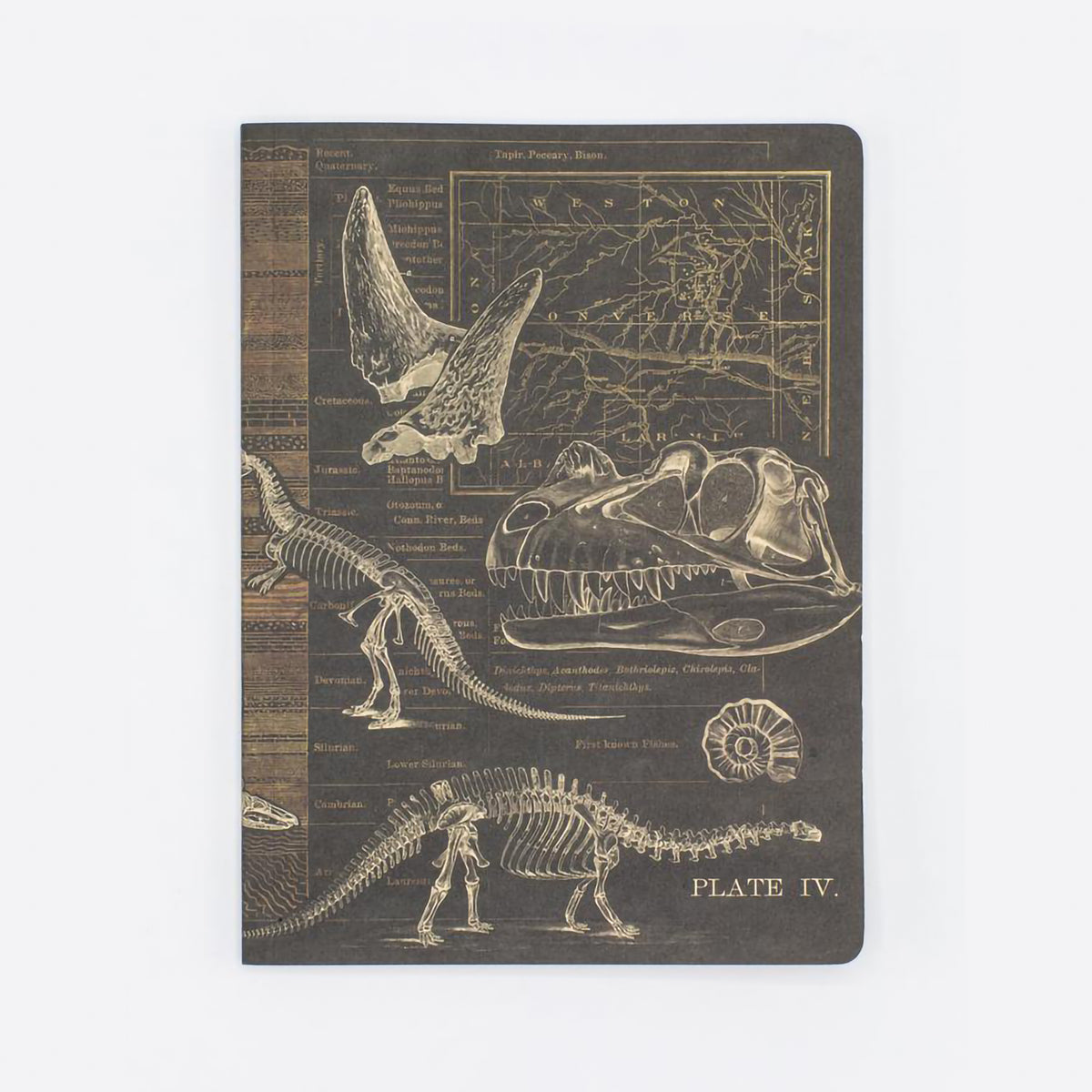 EXPERIMENT SOFTCOVER NOTEBOOK DOT GRID PALEONTOLOGY