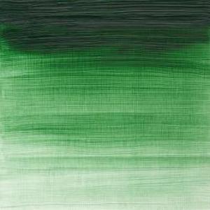 WINTON OIL COLOR 37ml TERRE VERTE
