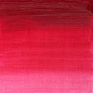 WINTON OIL COLOR 37ml PERMANENT ROSE