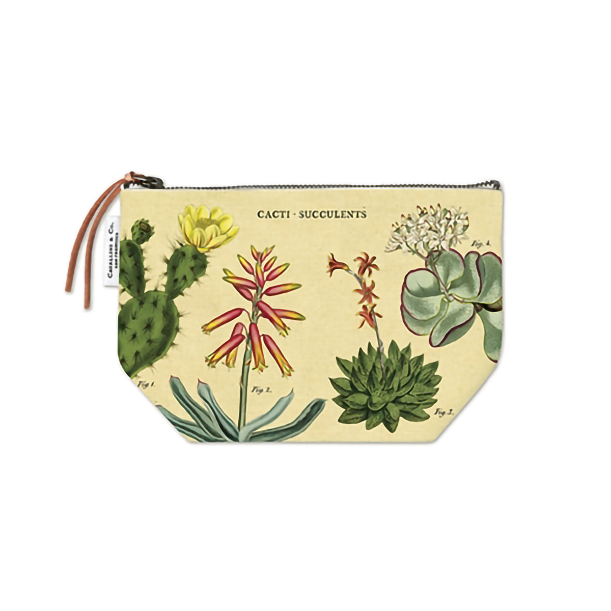 VINTAGE POUCH SUCCULENTS