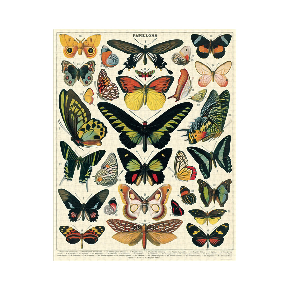 1000 PIECE VINTAGE PUZZLE - BUTTERFLIES