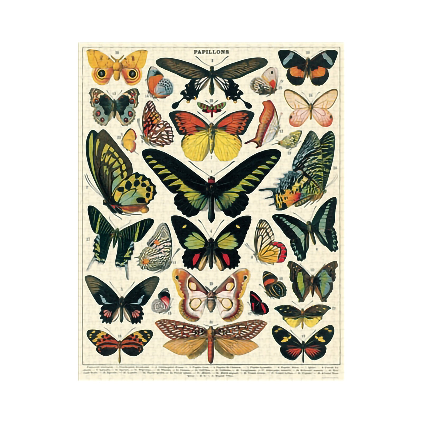 1000 PIECE VINTAGE PUZZLE - BUTTERFLIES