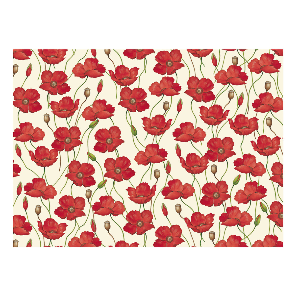 ITALIAN PAPER - POPPIES 20&#39;&#39; x 28&#39;&#39;