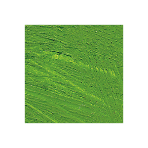 WILLIAMSBURG 37ml CADMIUM GREEN