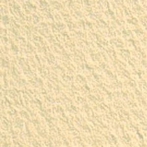 MI-TEINTES 19&#39;&#39;x25&#39;&#39; OYSTER