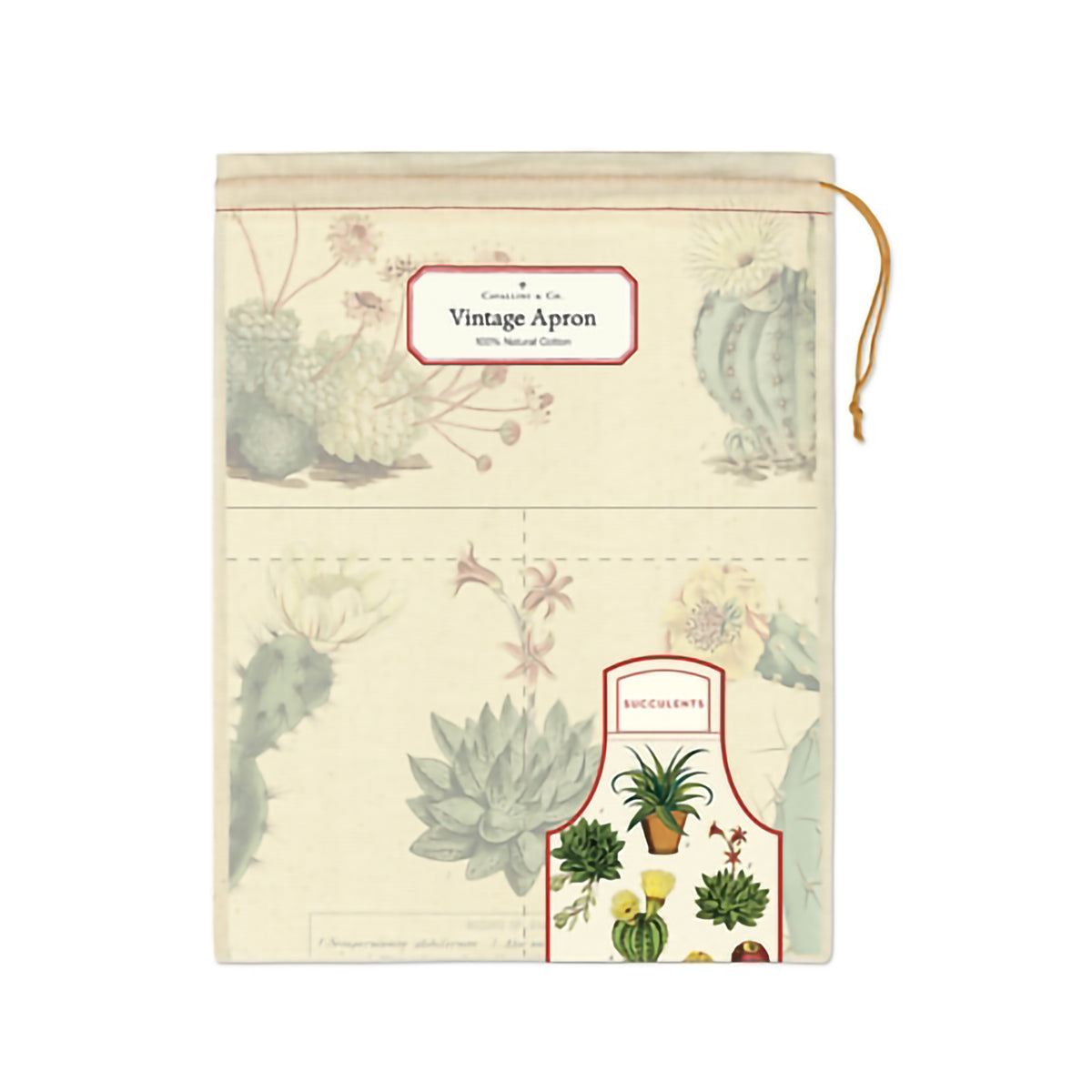 VINTAGE APRON SUCCULENTS