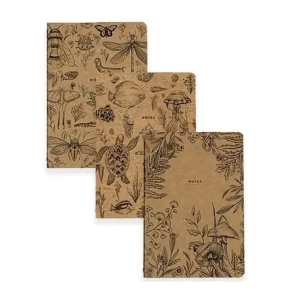 KRAFT JOURNAL LINED SCIENCE SET/3