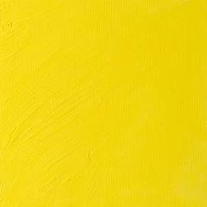 W&amp;N ARTISTS&#39; OIL COLOR BISMUTH YELLOW 37ml