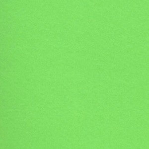 VICE VERSA 20X27.5 PEA GREEN