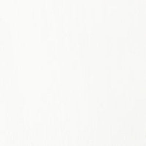 BASICS 4oz TUBE TRANSPARENT MIXING WHITE