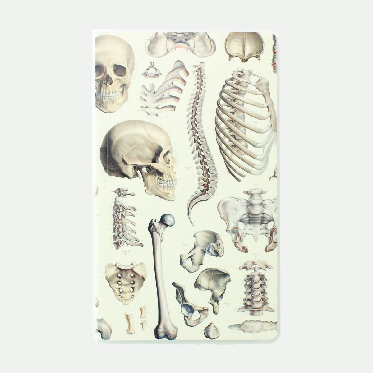 YEARLY PLANNER SKELETON