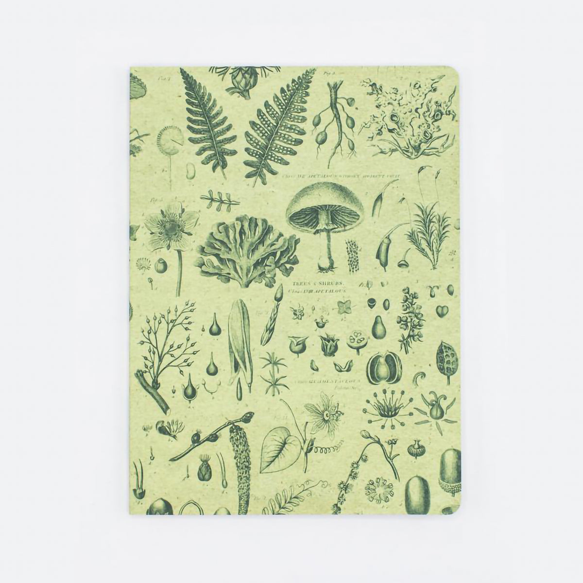 EXPERIMENT SOFTCOVER NOTEBOOK DOT GRID PLANTS &amp; FUNGI