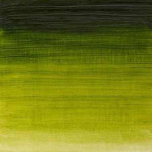 WINTON OIL COLOR 200ml SAP GREEN