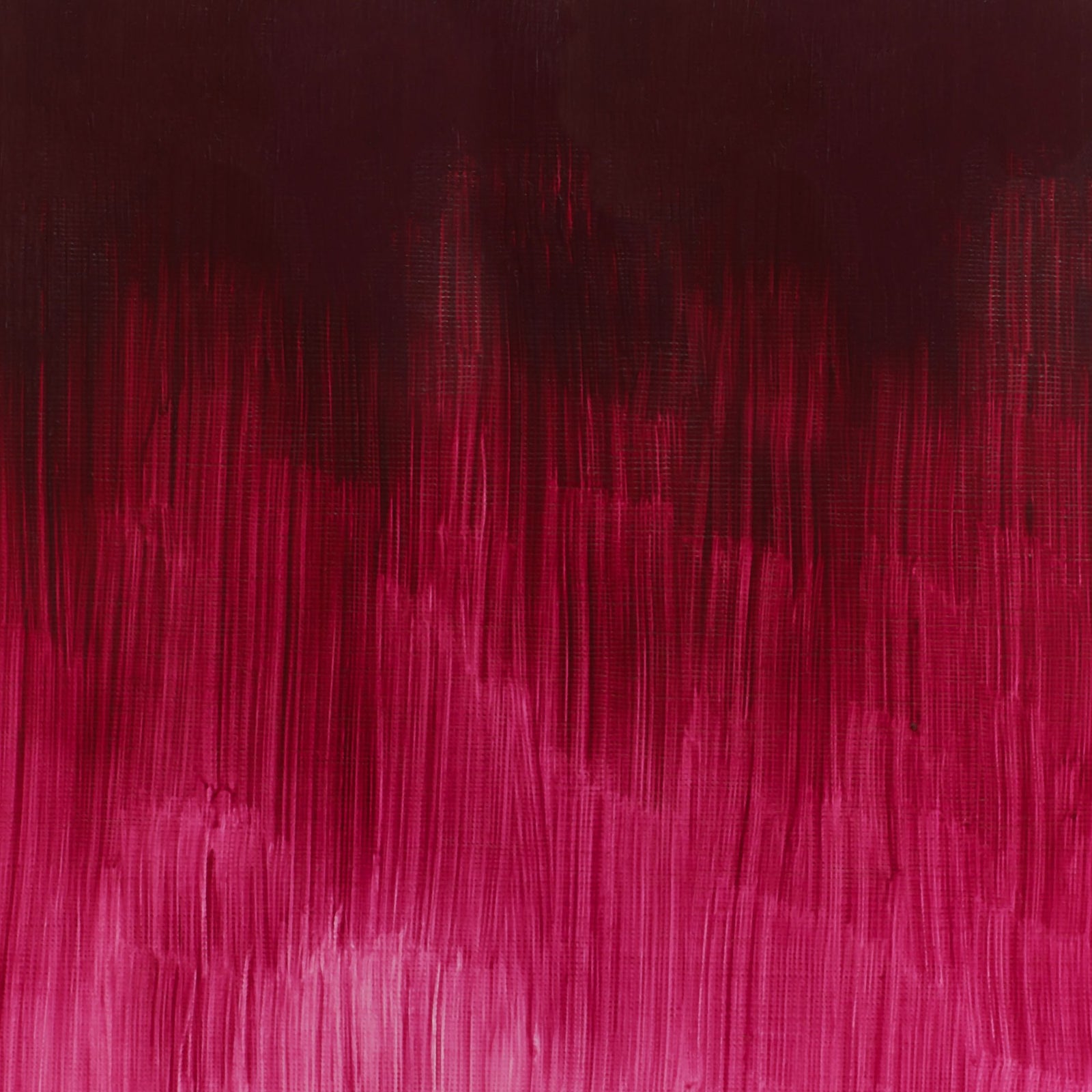 WINTON OIL COLOR 37ml QUINACRIDONE DEEP PINK