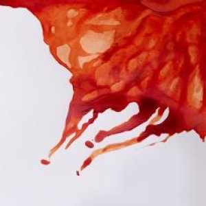 DRAWING INK 14ml BURNT SIENNA