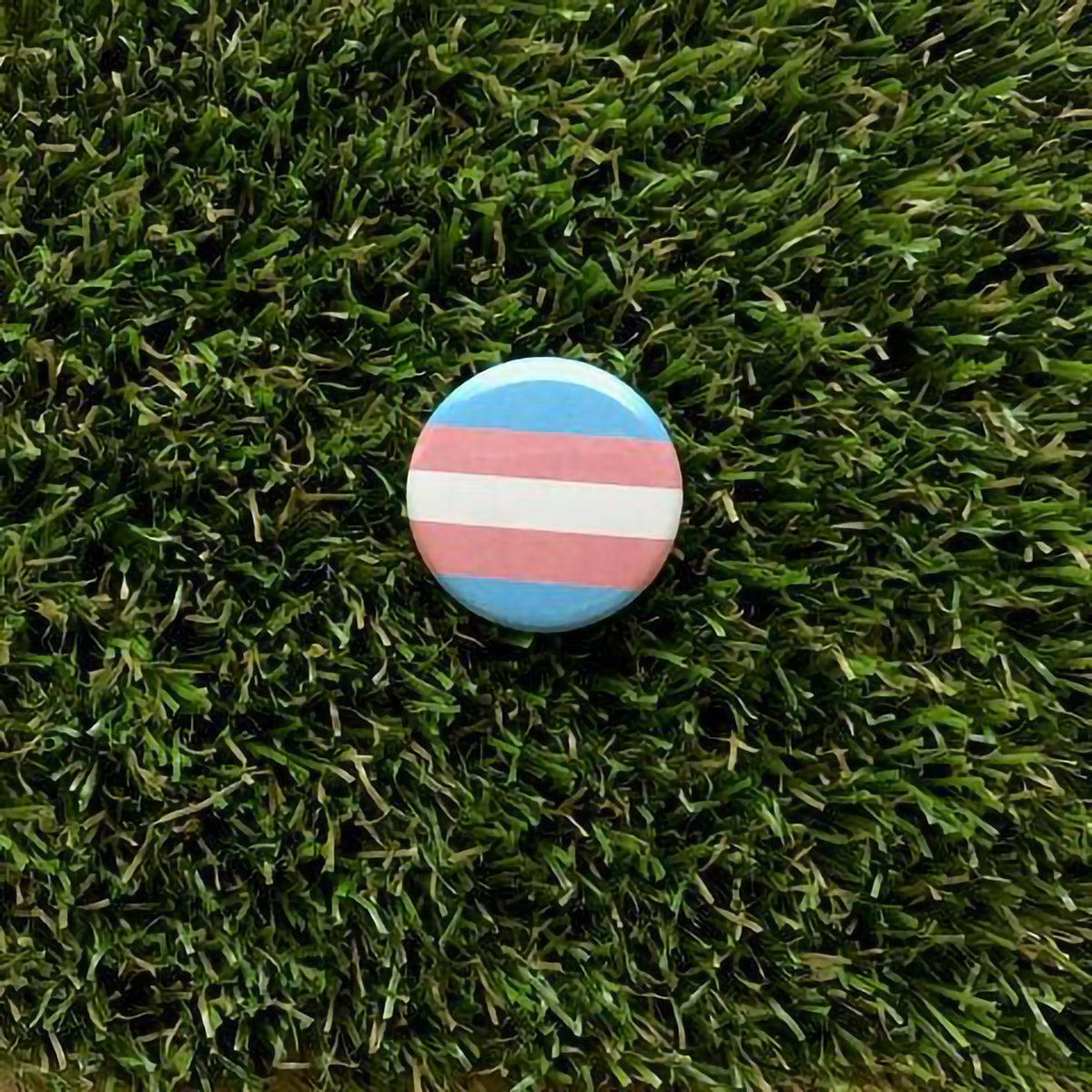 DDD BUTTON PIN - TRANSGENDER PRIDE FLAG