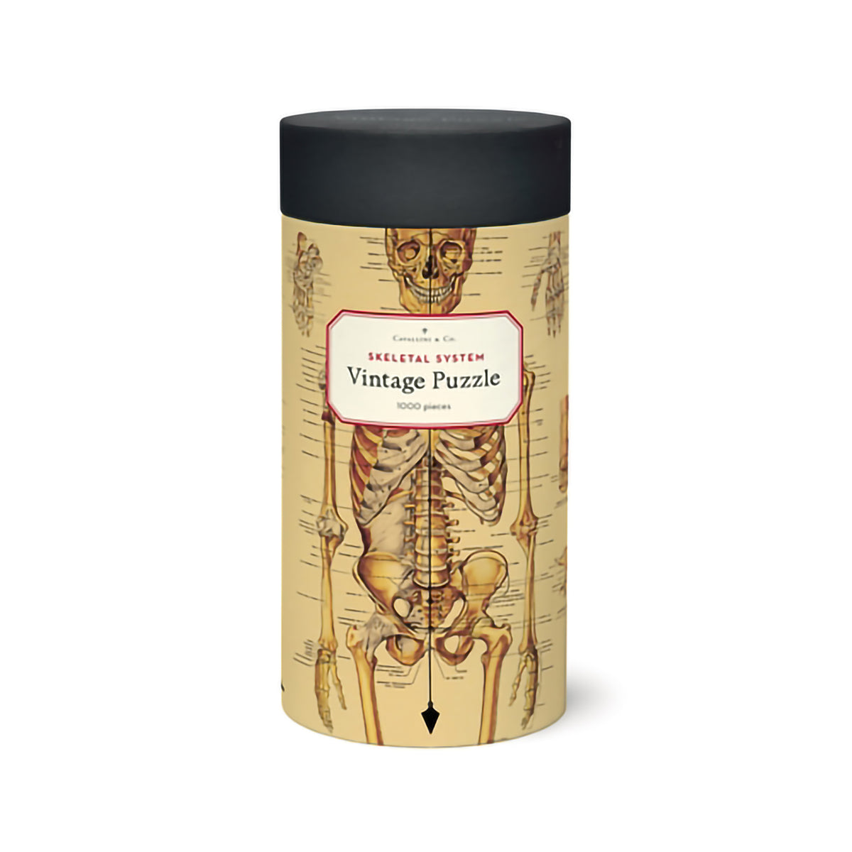 1000 PIECE VINTAGE PUZZLE - SKELETAL SYSTEM