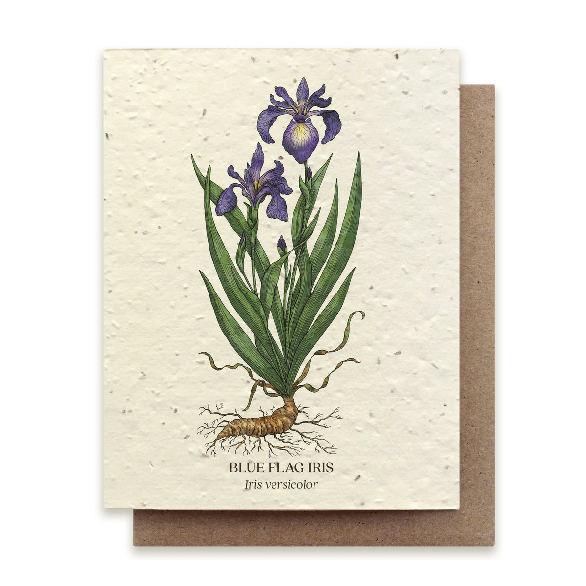 PLANTABLE SEED CARD - IRIS