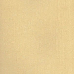 VICE VERSA 20X27.5 WHEAT