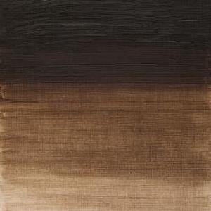 WINTON OIL COLOR 37ml RAW UMBER