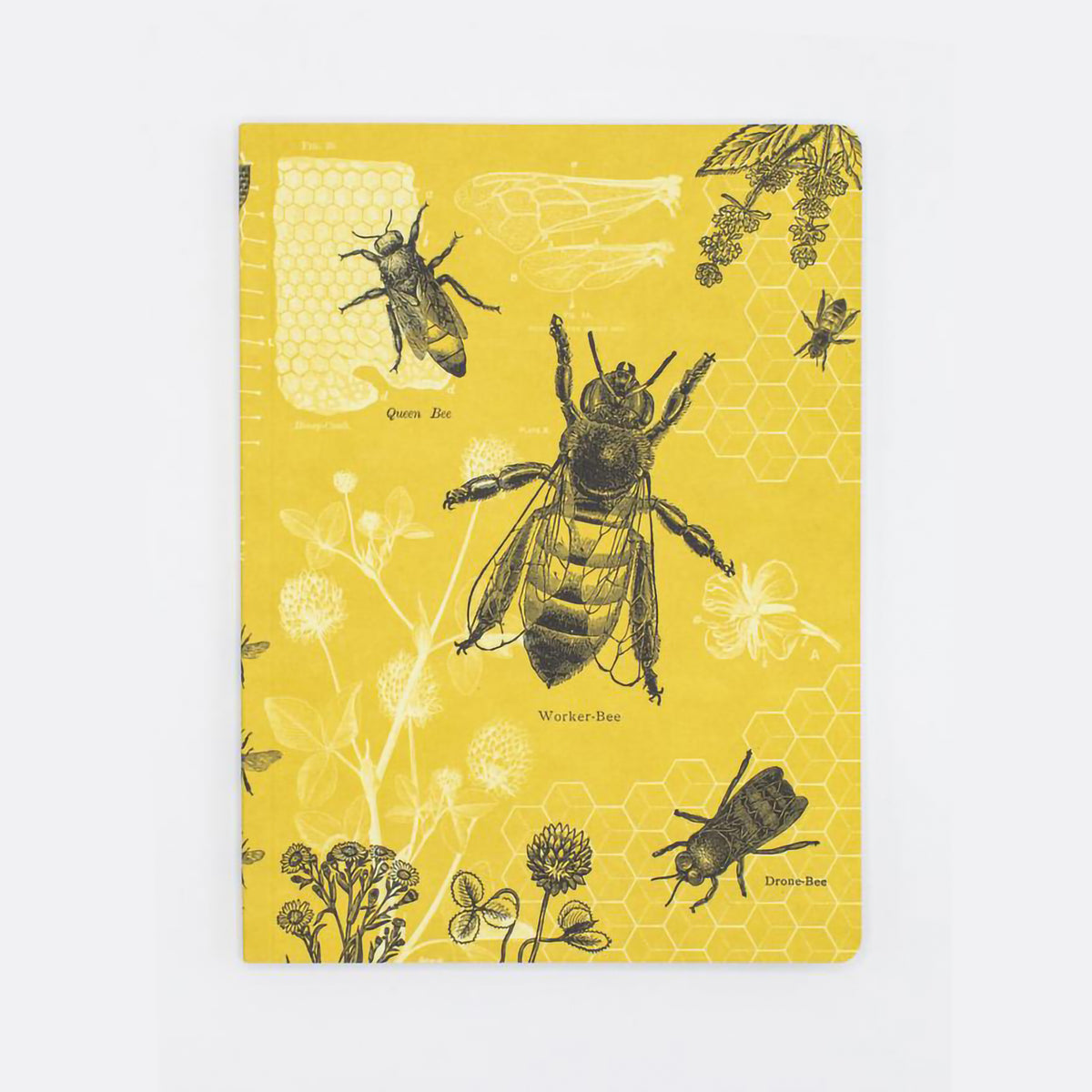 EXPERIMENT SOFTCOVER NOTEBOOK RULED HONEY BEE