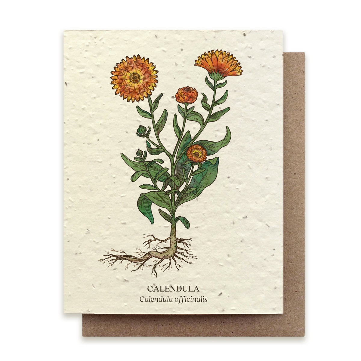 PLANTABLE SEED CARD - CALENDULA
