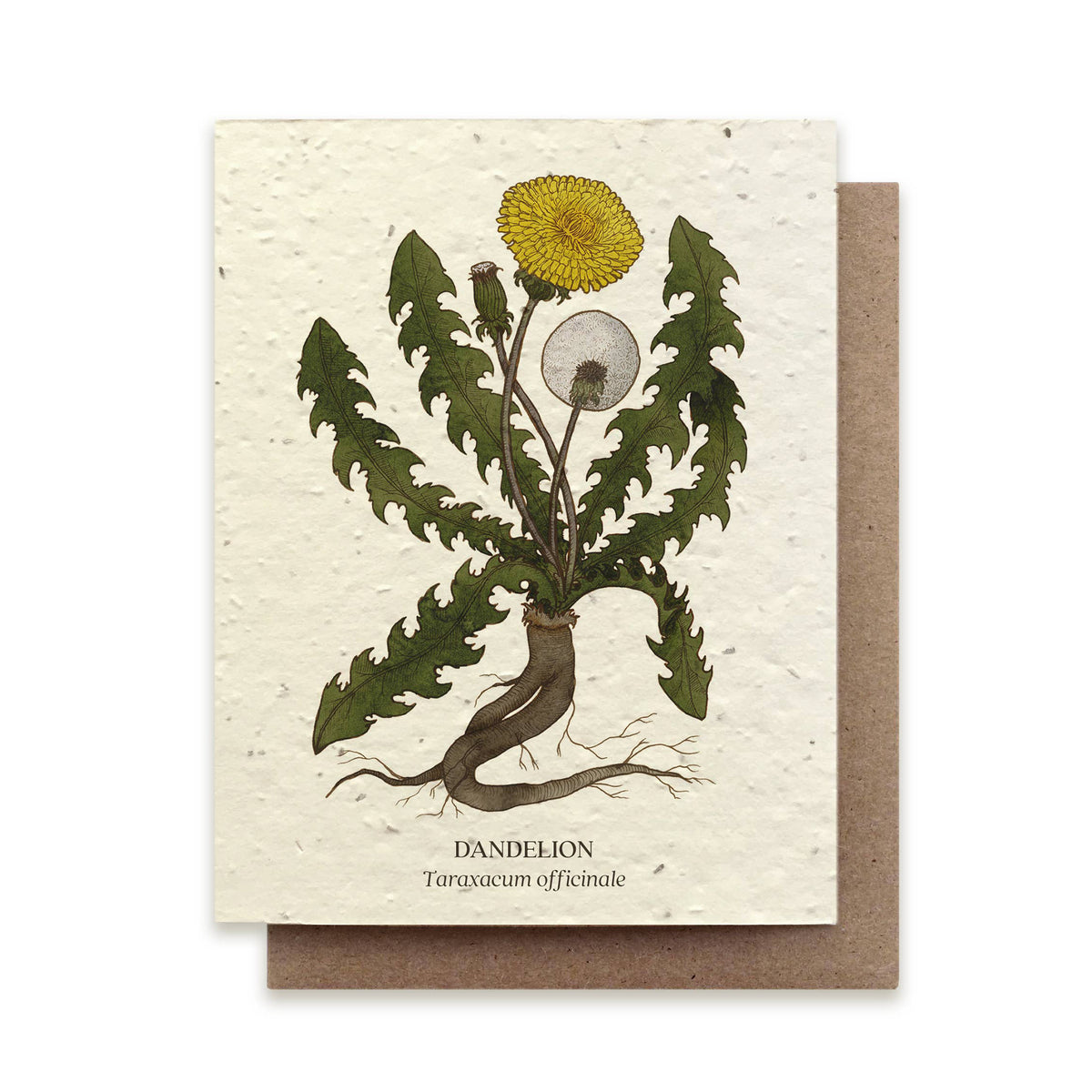 PLANTABLE SEED CARD - DANDELION