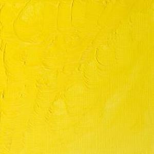 WINTON OIL COLOR 37ml LEMON YELLOW HUE