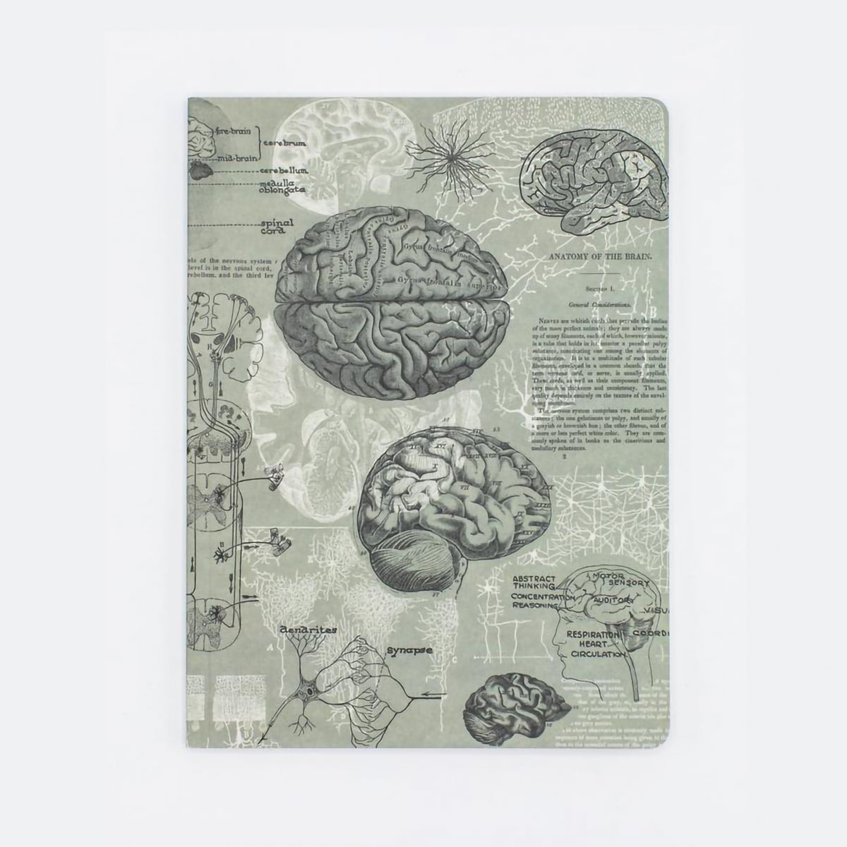 EXPERIMENT SOFTCOVER NOTEBOOK DOT GRID BRAIN ANATOMY