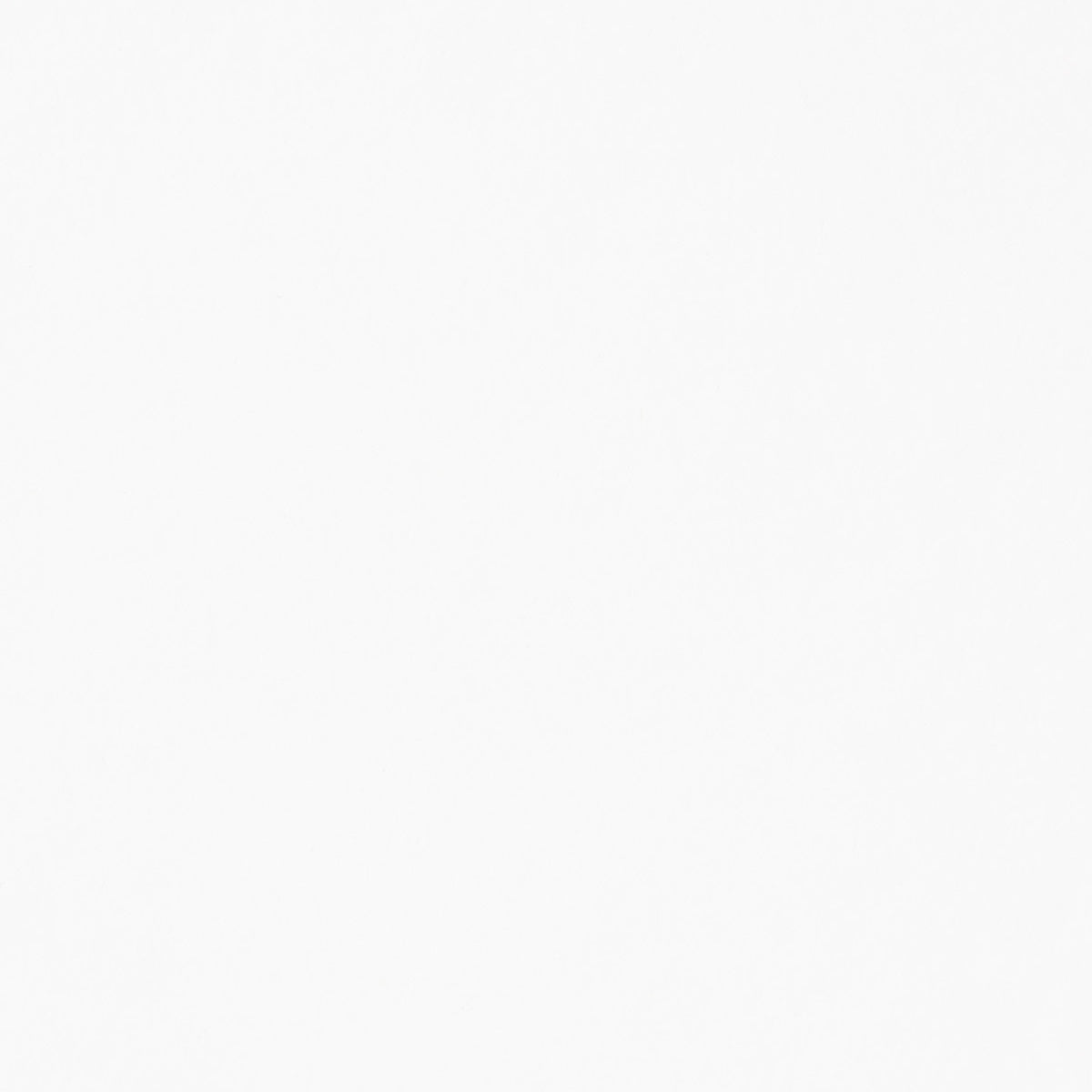 CASEIN 5oz TITANIUM WHITE