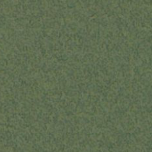 MI-TEINTES 8.5&#39;&#39;x11&#39;&#39; IVY