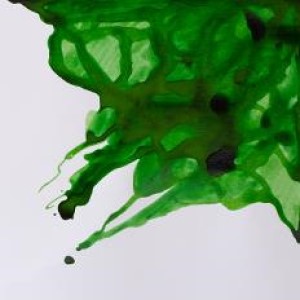 DRAWING INK 14ml APPLE GREEN